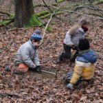 On creuse dans la forêt interdite