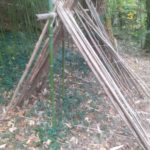 Construction de cabane